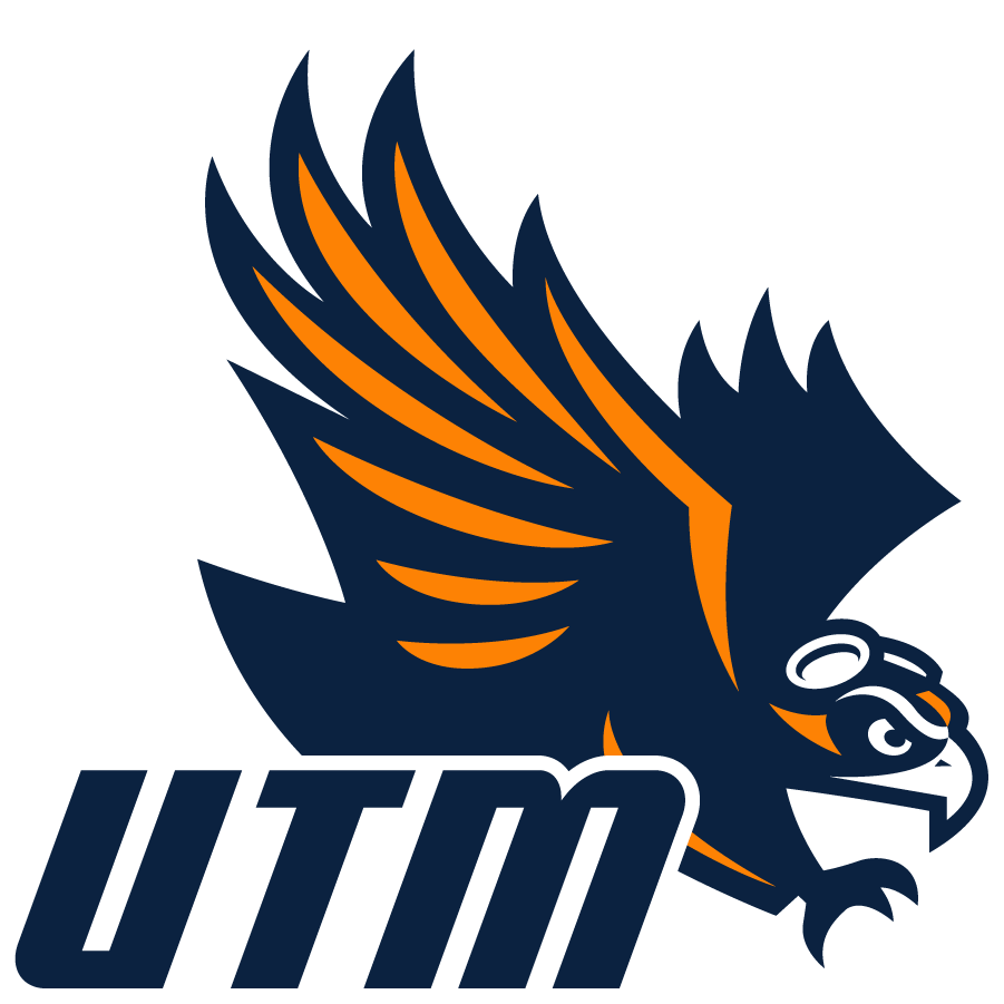 Tennessee-Martin Skyhawks 2020-Pres Secondary Logo v2 diy DTF decal sticker